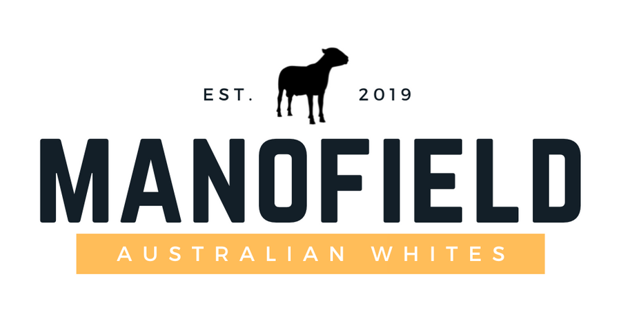 Manofield Australian Whites
